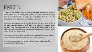 Beneficios
La quinoa al poder emplearse como un cereal, es especialmente beneficiosa en la dieta de
personas celíacas, ya que no contiene gluten. Asimismo, por su alto contenido en fibra y su
mayor aporte proteico respecto a los cereales, tiene un bajo índice glucémico, lo que la vuelve
ideal para personas con diabetes o que desean adelgazar comiendo sano.
También es de gran ayuda para controlar los niveles de colesterol en sangre, ya que su fibra y
sus lípidos insaturados favorecen el perfil lipídico en el organismo. Por supuesto, también
contribuye a revertir el estreñimiento dado su alto contenido de fibra insoluble, y puede ser de gran
utilidad en la dieta de personas vegetarianas, ya que posee una elevada proporción de proteínas y también,
es buena fuente de hierro de origen vegetal.
Para el deportista puede ser un alimento muy valioso, semejante a la avena, dada la presencia de buenos
minerales, de hidratos complejos y proteínas, como ya hemos mostrado anteriormente.
Claramente la quinoa puede emplearse en todo tipo de dietas, es de mucha utilidad y puede ofrecer
notables beneficios a la salud del organismo.
 
