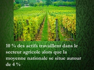 10 % des actifs travaillent dans le
secteur agricole alors que la
moyenne nationale se situe autour
de 4 % .
 