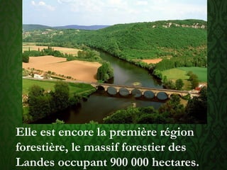 Elle est encore la première région
forestière, le massif forestier des
Landes occupant 900 000 hectares.
 
