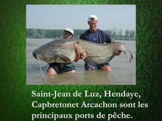 Saint-Jean de Luz, Hendaye, 
Capbretonet Arcachon sont les
principaux ports de pêche.
 