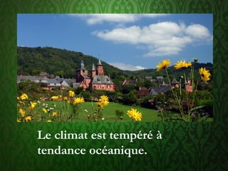 Le climat est tempéré à
tendance océanique.
 