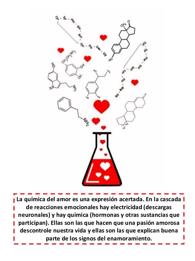 La química del amor