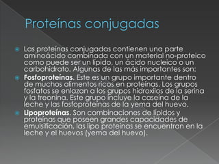 Proteínas conjugadasLas proteínas conjugadas contienen una parte aminoácido combinada con un material no-proteico como puede ser un lípido, un ácido nucleico o un carbohidrato. Algunas de las más importantes son:Fosfoproteínas. Este es un grupo importante dentro de muchos alimentos ricos en proteínas. Los grupos fosfatos se enlazan a los grupos hidroxilos de la serina y la treonina. Este grupo incluye la caseína de la leche y las fosfoproteínas de la yema del huevo.Lipoproteínas. Son combinaciones de lípidos y proteínas que poseen grandes capacidades de emulsificación, las lipo proteínas se encuentran en la leche y el huevos (yema del huevo).