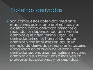 Proteínas derivadasSon compuestos obtenidos mediante reacciones químicas o enzimáticas y se clasifican como derivados primarios o secundarios dependiendo del nivel de cambios que haya tenido lugar. Los derivados primarios han sufrido pocos cambios y son insolubles en agua; un ejemplo de derivado primario es la caseína coagulada en el cuajo de la leche. Los derivados secundarios han sufrido mayores cambios en sus estructuras e incluyen las proteosas, las peptonas y los péptidos.