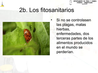 2b. Los fitosanitarios
• Si no se controlasen
las plagas, malas
hierbas,
enfermedades, dos
terceras partes de los
alimentos producidos
en el mundo se
perderían.
 