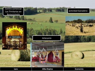 Centro comercial Las Trinitarias en Barquisimetoactividad Ganadera Artesanía