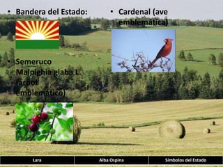Bandera del Estado:Semeruco Malpighia glaba L. (árbol emblemático) Cardenal (ave emblemática)