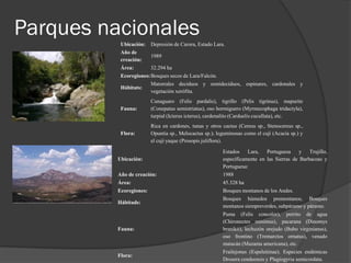 Parques nacionales
           Ubicación:   Depresión de Carora, Estado Lara.
           Año de
                        1989
           creación:
           Área:        32.294 ha
           Ecoregiones: Bosques secos de Lara/Falcón.
                        Matorrales deciduos y semideciduos, espinares, cardonales y
           Hábitats:
                        vegetación xerófita.
                        Cunaguaro (Felis pardalis), tigrillo (Pelis tigrinus), mapurite
           Fauna:       (Conepatus semistriatus), oso hormiguero (Myrmecophaga tridactyla),
                        turpial (Icterus icterus), cardenalito (Carduelis cucullata), etc.
                        Rica en cardones, tunas y otros cactus (Cereus sp., Stenocereus sp.,
           Flora:       Opuntia sp., Melocactus sp.); leguminosas como el cují (Acacia sp.) y
                        el cují yaque (Prosopis juliflora).

                                                        Estados    Lara,   Portuguesa     y   Trujillo,
          Ubicación:                                    específicamente en las Sierras de Barbacoas y
                                                        Portuguesa:
          Año de creación:                              1988
          Área:                                         45.328 ha
          Ecoregiones:                                  Bosques montanos de los Andes.
                                                        Bosques húmedos premontanos, Bosques
          Hábitads:
                                                        montanos siempreverdes, subpáramo y páramo.
                                                        Puma (Felis concolor), perrito de agua
                                                        (Chironectes minimus), pacarana (Dinomys
          Fauna:                                        branikii), lechuzón orejudo (Bubo virginianus),
                                                        oso frontino (Tremarctos ornatus), venado
                                                        matacán (Mazama americana), etc.
                                                        Frailejones (Espeletiinae). Especies endémicas
          Flora:
                                                        Drosera cendeensis y Plagiogyria semicordata.
 