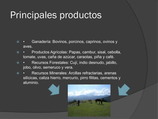 Principales productos

  •     Ganadería: Bovinos, porcinos, caprinos, ovinos y
   aves.
  •     Productos Agrícolas: Papas, cambur, sisal, cebolla,
   tomate, uvas, caña de azúcar, caraotas, piña y café.
  •     Recursos Forestales: Cují, indio desnudo, jabillo,
   jobo, olivo, semeruco y vera.
  •     Recursos Minerales: Arcillas refractarias, arenas
   silícicas, caliza hierro, mercurio, pirro filitas, cementos y
   aluminio.
 