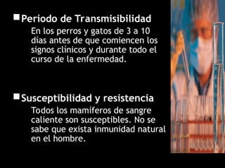 Período de Transmisibilidad
En los perros y gatos de 3 a 10
días antes de que comiencen los
signos clínicos y durante todo el
curso de la enfermedad.
Susceptibilidad y resistencia
Todos los mamíferos de sangre
caliente son susceptibles. No se
sabe que exista inmunidad natural
en el hombre.
 