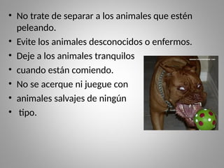 • No trate de separar a los animales que estén
peleando.
• Evite los animales desconocidos o enfermos.
• Deje a los animales tranquilos
• cuando están comiendo.
• No se acerque ni juegue con
• animales salvajes de ningún
• tipo.
 