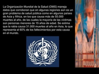 La Organización Mundial de la Salud (OMS) maneja
datos que corroboran que en algunas regiones aún es un
gran problema de salud pública como en algunos países
de Asia y África, en los que causa más de 55.000
muertes al año, de las cuales la mayoría de las víctimas
son personas menores de 15 años de edad. Se estima
que la rabia causa 31.000 muertes al año en Asia, lo que
representa el 60% de los fallecimientos por esta causa
en el mundo.
 