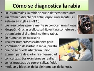 Cómo se diagnostica la rabia
• En los animales, la rabia se suele detectar mediante
• un examen directo del anticuerpo fluorescente (su
• sigla en en inglés es dFA ).
• Los resultados generalmente se conocen unas horas
• después. Gracias a ellos, su hijo evitará someterse a un
• tratamiento si el animal no tiene rabia.
• En humanos, es necesario
• realizar numerosos exámenes para
• confirmar o descartar la rabia, puesto
• que no se puede utilizar un único
• examen para descartar la enfermedad
• con certeza. Los exámenes se realizan
• en las muestras de suero, saliva, fluido
• medular y biopsias de la piel tomadas de la nuca.
 