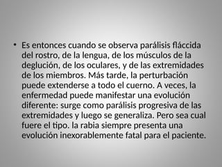 • Es entonces cuando se observa parálisis fláccida
del rostro, de la lengua, de los músculos de la
deglución, de los oculares, y de las extremidades
de los miembros. Más tarde, la perturbación
puede extenderse a todo el cuerno. A veces, la
enfermedad puede manifestar una evolución
diferente: surge como parálisis progresiva de las
extremidades y luego se generaliza. Pero sea cual
fuere el tipo. la rabia siempre presenta una
evolución inexorablemente fatal para el paciente.
 