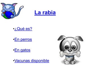 La rabia
•¿Qué es?
•En perros
•En gatos
•Vacunas disponible