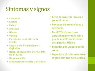 Síntomas y signos
• cansancio
• Cefalea
• Fiebre
• Anorexia
• Náusea
• Vómito
• Parestesias en el sitio de la
herida.
• Seguidas de dificultad para la
deglución,
• Horror al agua entre el 17% y 50%
de los casos
• Desorientación
• Alucinaciones visuales u olfatorias
• Crisis convulsivas focales o
generalizadas
• Periodos de excitabilidad y
aerofobia.
• En el 20% de los casos
aproximadamente la rabia
puede manifestarse como
una parálisis flácida
• Seguidas por un período de
coma
• Desenlace el fallecimiento en
la gran mayoría de los casos.
 