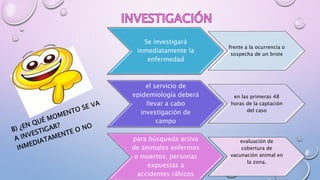 Se investigará
inmediatamente la
enfermedad
frente a la ocurrencia o
sospecha de un brote
el servicio de
epidemiología deberá
llevar a cabo
investigación de
campo
en las primeras 48
horas de la captación
del caso
para búsqueda activa
de animales enfermos
o muertos; personas
expuestas a
accidentes rábicos
evaluación de
cobertura de
vacunación animal en
la zona.
 