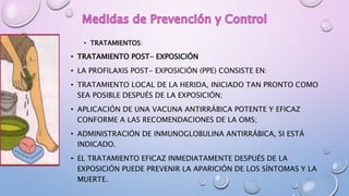 • TRATAMIENTOS:
• TRATAMIENTO POST- EXPOSICIÓN
• LA PROFILAXIS POST- EXPOSICIÓN (PPE) CONSISTE EN:
• TRATAMIENTO LOCAL DE LA HERIDA, INICIADO TAN PRONTO COMO
SEA POSIBLE DESPUÉS DE LA EXPOSICIÓN;
• APLICACIÓN DE UNA VACUNA ANTIRRÁBICA POTENTE Y EFICAZ
CONFORME A LAS RECOMENDACIONES DE LA OMS;
• ADMINISTRACIÓN DE INMUNOGLOBULINA ANTIRRÁBICA, SI ESTÁ
INDICADO.
• EL TRATAMIENTO EFICAZ INMEDIATAMENTE DESPUÉS DE LA
EXPOSICIÓN PUEDE PREVENIR LA APARICIÓN DE LOS SÍNTOMAS Y LA
MUERTE.
 