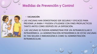 • VACUNACIÓN:
• LAS VACUNAS HAN DEMOSTRADO SER SEGURAS Y EFICACES PARA
PREVENIR LA RABIA Y PUEDEN UTILIZARSE CON FINES PROFILÁCTICOS
TANTO ANTES COMO DESPUÉS DE LA EXPOSICIÓN.
• LAS VACUNAS SE PUEDEN ADMINISTRAR POR VÍA INTRAMUSCULAR O
INTRADÉRMICA. LA ADMINISTRACIÓN INTRADÉRMICA DE ESTAS VACUNAS
ES TAN SEGURA E INMUNOGÉNICA COMO SU ADMINISTRACIÓN
INTRAMUSCULAR.
 