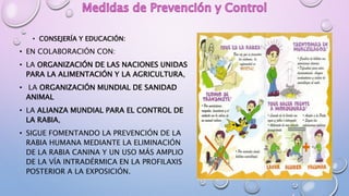 • CONSEJERÍA Y EDUCACIÓN:
• EN COLABORACIÓN CON:
• LA ORGANIZACIÓN DE LAS NACIONES UNIDAS
PARA LA ALIMENTACIÓN Y LA AGRICULTURA,
• LA ORGANIZACIÓN MUNDIAL DE SANIDAD
ANIMAL
• LA ALIANZA MUNDIAL PARA EL CONTROL DE
LA RABIA,
• SIGUE FOMENTANDO LA PREVENCIÓN DE LA
RABIA HUMANA MEDIANTE LA ELIMINACIÓN
DE LA RABIA CANINA Y UN USO MÁS AMPLIO
DE LA VÍA INTRADÉRMICA EN LA PROFILAXIS
POSTERIOR A LA EXPOSICIÓN.
 