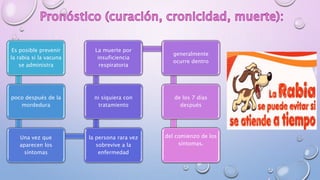 Es posible prevenir
la rabia si la vacuna
se administra
poco después de la
mordedura
Una vez que
aparecen los
síntomas
la persona rara vez
sobrevive a la
enfermedad
ni siquiera con
tratamiento
La muerte por
insuficiencia
respiratoria
generalmente
ocurre dentro
de los 7 días
después
del comienzo de los
síntomas.
 