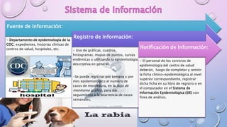Fuente de Información:
- Departamento de epidemiología de la
CDC, expedientes, historias clínicas de
centros de salud, hospitales, etc.
Registro de Información:
- Uso de gráficas, cuadros,
histogramas, mapas de puntos, curvas
endémicas y utilizando la epidemiología
descriptiva en general.
-Se puede registrar por semana y por
mes epidemiológico el número de
casos de mordedura, en la hoja de
monitoreo gráfico, para dar
seguimiento a la ocurrencia de casos
semanales.
Notificación de Información:
- El personal de los servicios de
epidemiología del centro de salud
deberán, luego de completar y remitir
la ficha clínico-epidemiológica al nivel
superior correspondiente, registrar
dicha ficha en su libro de registro o en
el computador en el Sistema de
Información Epidemiológica (SIE) con
fines de análisis.
 