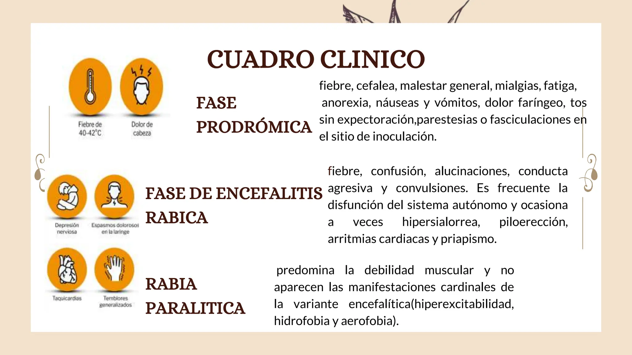 Api Rabia U la rabia .pptx materia de nuerologia harrison | PPTX