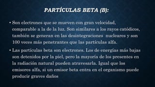 PARTÍCULAS BETA (Β):
• Son electrones que se mueven con gran velocidad,
comparable a la de la luz. Son similares a los rayos catódicos,
también se generan en las desintegraciones nucleares y son
100 veces más penetrantes que las partículas alfa.
• Las partículas beta son electrones. Los de energías más bajas
son detenidos por la piel, pero la mayoría de los presentes en
la radiación natural pueden atravesarla. Igual que los
emisores alfa, si un emisor beta entra en el organismo puede
producir graves daños
 