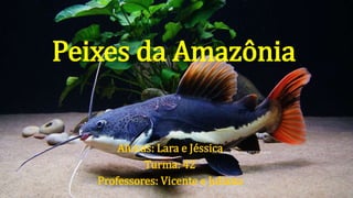 Peixes da Amazônia
Alunas: Lara e Jéssica
Turma: 42
Professores: Vicente e Juliana
 