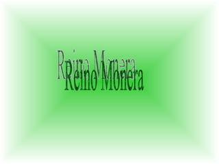 Reino Monera 