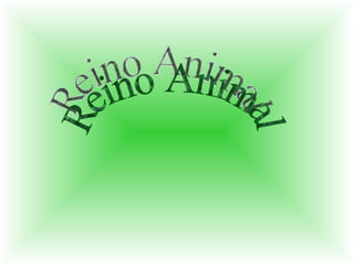 Reino Animal 