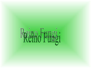 Reino Fungi 