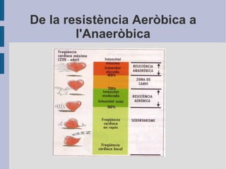 4) El cor batega i difon la sang a l'organisme 