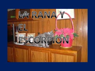 LARANA Y EL ESCORPION 
