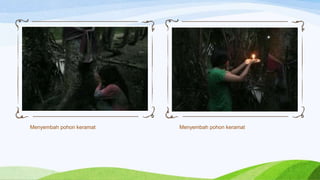 Menyembah pohon keramat Menyembah pohon keramat
 