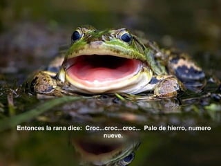 Entonces la rana dice: Croc...croc...croc... Palo de hierro, numero
                             nueve.
 