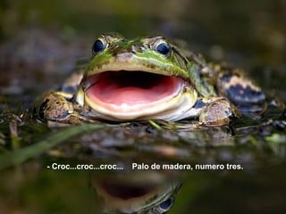 - Croc...croc...croc...    Palo de madera, numero tres.
 
