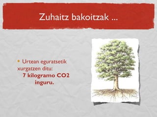 Zuhaitz bakoitzak ...
Urtean eguratsetik
xurgatzen ditu:
7 kilogramo CO2
inguru.
 
