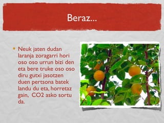 Beraz...
Neuk jaten dudan
laranja zoragarri hori
oso oso urrun bizi den
eta bere truke oso oso
diru gutxi jasotzen
duen pertsona batek
landu du eta, horretaz
gain, CO2 asko sortu
da.
 