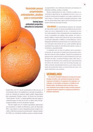 Laranja de outra cor