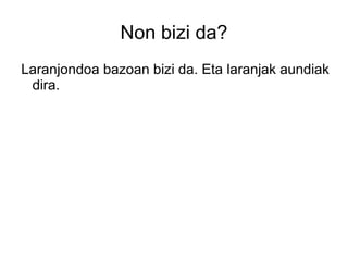 Non bizi da?
Laranjondoa bazoan bizi da. Eta laranjak aundiak
 dira.
 