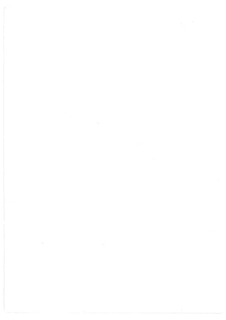 Lara Prado Jorge - Análisis Matematico