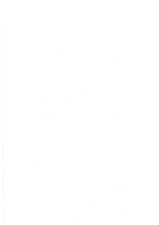 Lara Prado Jorge - Análisis Matematico