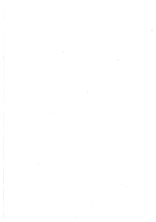 Lara Prado Jorge - Análisis Matematico