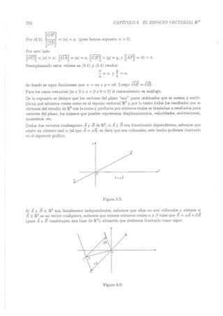 Lara Prado Jorge - Análisis Matematico