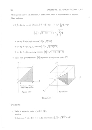 Lara Prado Jorge - Análisis Matematico