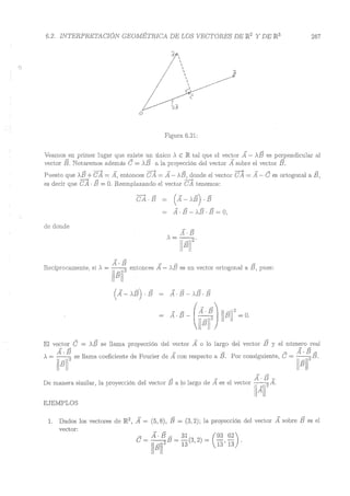 Lara Prado Jorge - Análisis Matematico