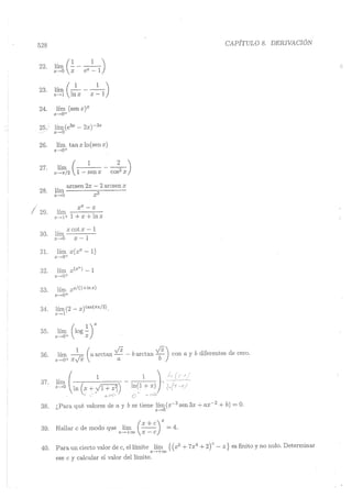 Lara Prado Jorge - Análisis Matematico