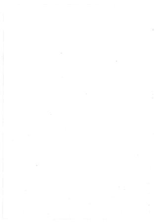 Lara Prado Jorge - Análisis Matematico