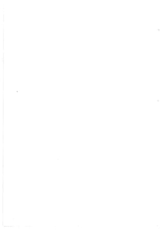 Lara Prado Jorge - Análisis Matematico